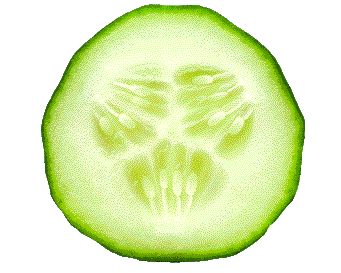 Concombre
